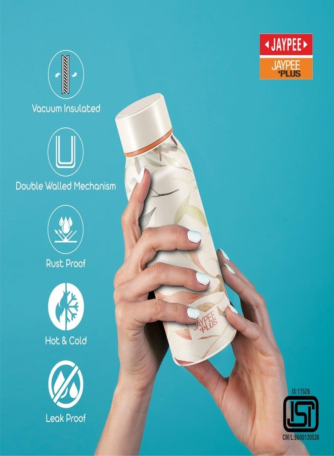 جايبي بلس زجاجة مياه جاي بي بلس بانش برايم المصنوعة من الفولاذ المقاوم للصدأ والمطبوعة والمعزولة بتفريغ الهواء سعة 500 مل | قارورة معتمدة من معهد المواصفات والمقاييس الهندية (ISI) مقاومة للصدأ والتسرب، تحافظ على المشروبات ساخنة وباردة لمدة 24 ساعة، مثالية لأطفال المدارس والمكتب والسفر - (لون كريمي) - Image 3